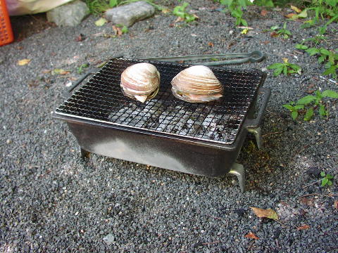 pictp0004.jpg