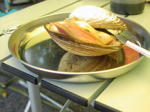 pictp0005.jpg