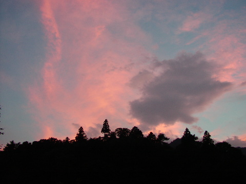 pictp0016.jpg