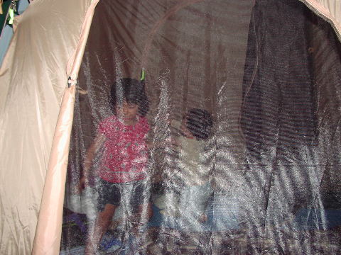 pictp0019.jpg