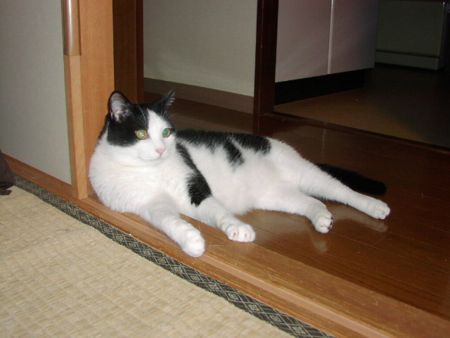 pictp0011.jpg