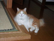 pictp0007.jpg