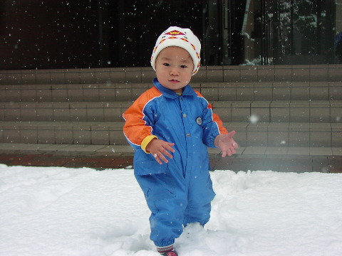 pictp0002.jpg