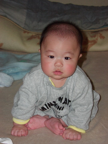 pictp0006.jpg