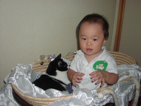 pictp0010.jpg