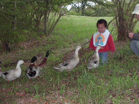 pictp0014.jpg