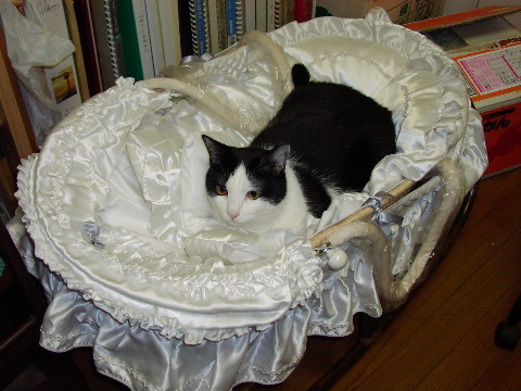 pictp0026.jpg