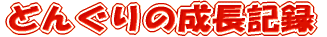 ǂ񂮂̐L^