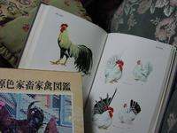 �G���I�b�g�l�̉Ƌא}��